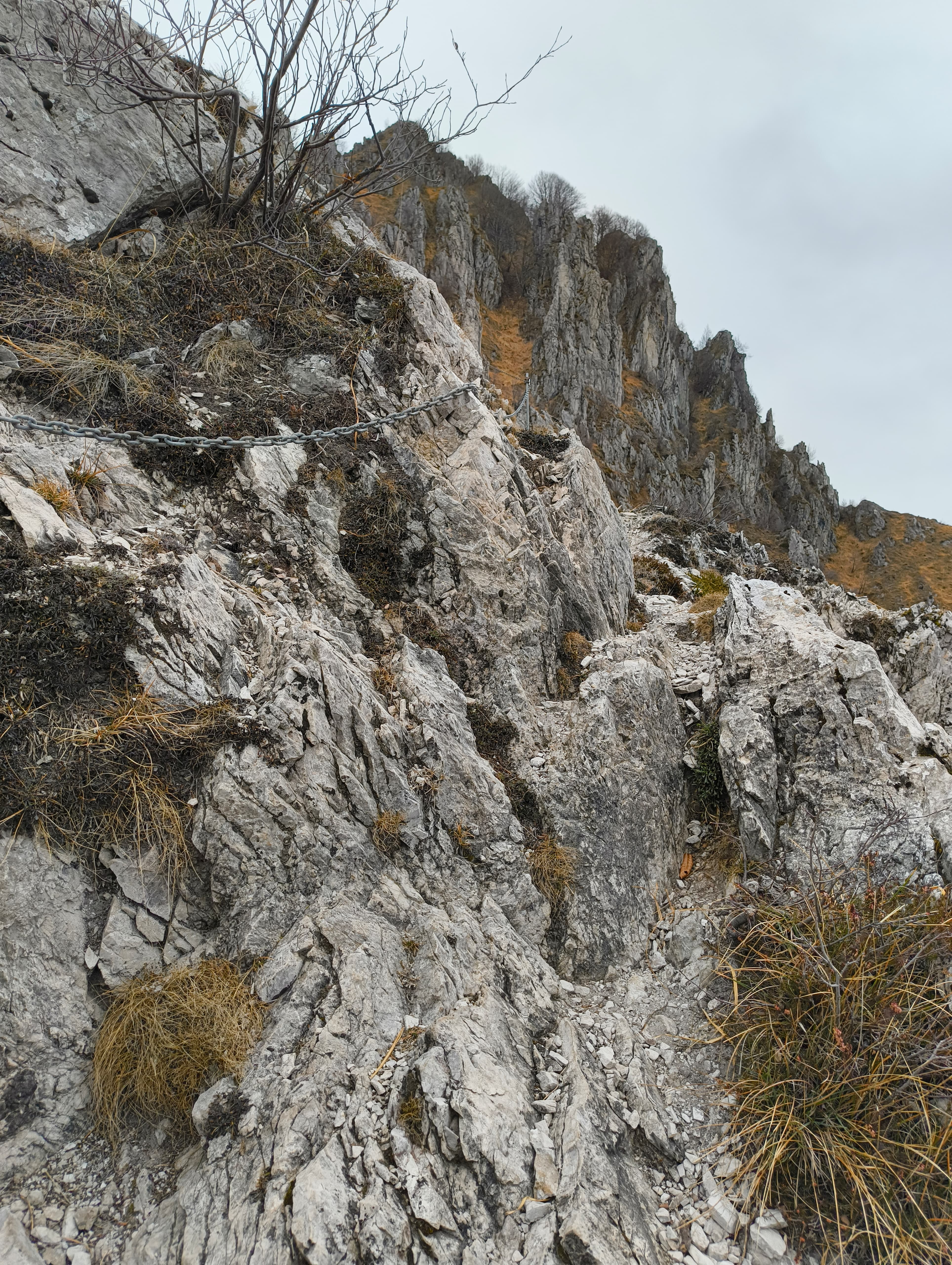 Foto n° 7 del trekking Magnodeno │ Passo del Fò